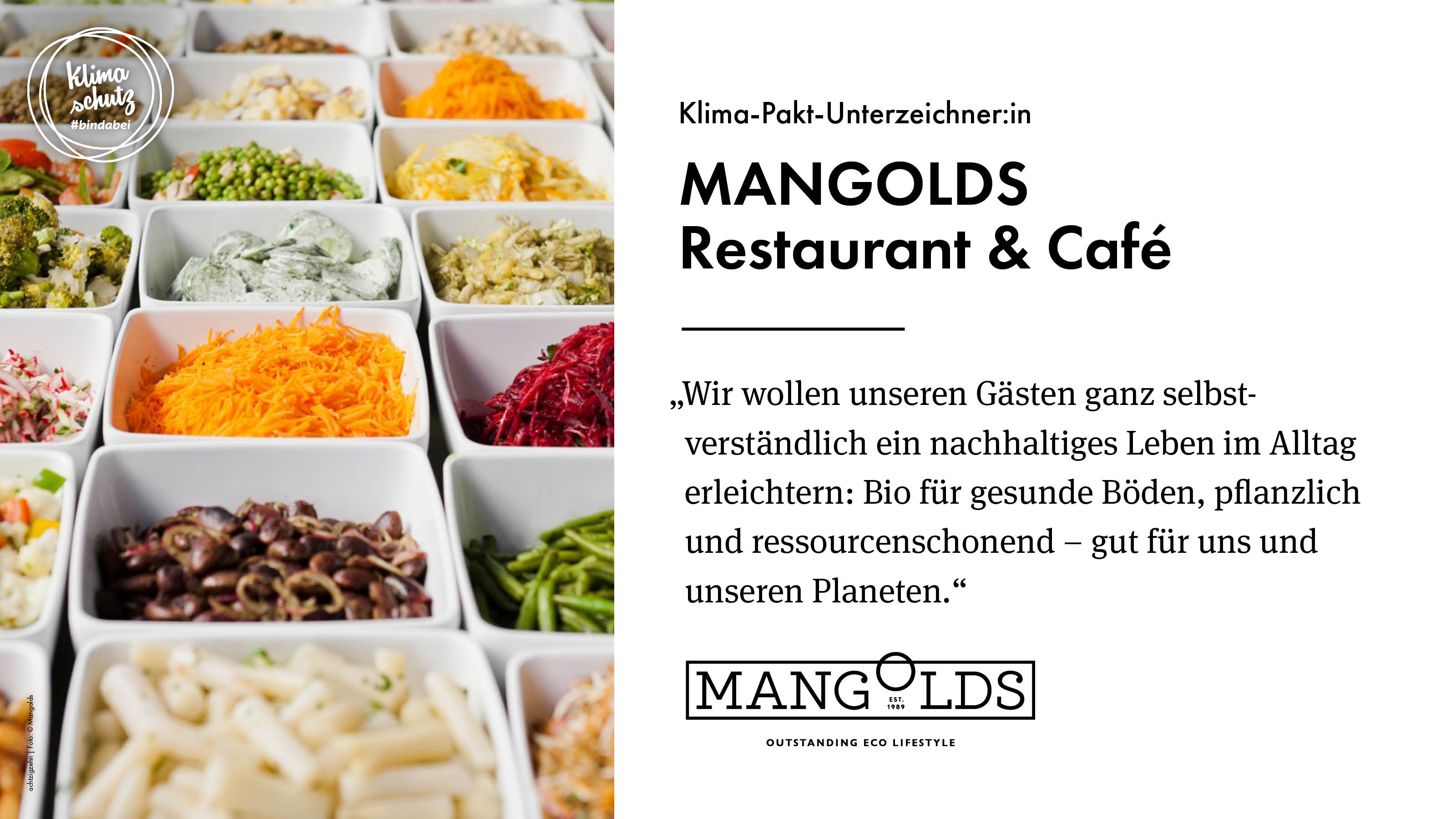 MANGOLDS MANGOLDS